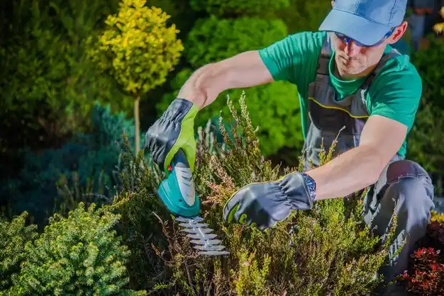 landscaping services Hornbeck
